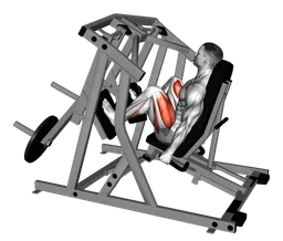 Leg press alla macchina (carico a piastre)