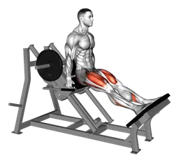 Hack squat lineare alla macchina