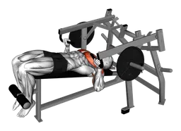 Decline chest press alla macchina da sdraiato (carico a piastre)