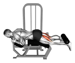 Leg curl alla macchina da sdraiato