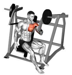Incline chest press a un braccio alla macchina (carico a piastre)