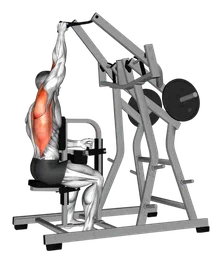 Pulldown laterale ampio a un braccio alla macchina (carico a piastre)