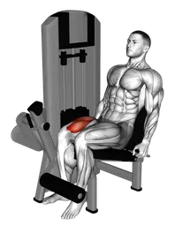 Leg extension a una gamba alla macchina