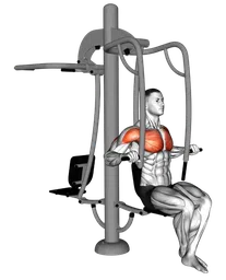 Chest press da seduto alla macchina (esterno)