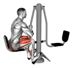 Leg press da seduto alla macchina (esterno)