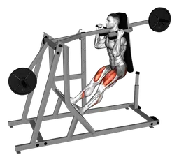 Pendulum squat alla macchina (carico a piastre)
