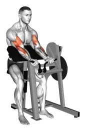 Preacher curl alla macchina (carico a piastre)