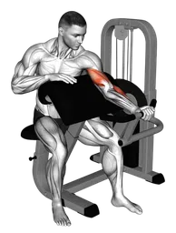 Preacher curl alla macchina (busto ruotato)