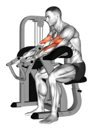 Preacher curl alla macchina (variante 2)