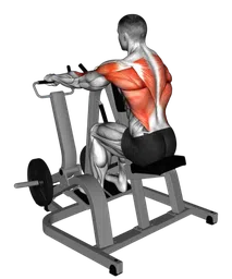 Seated row con presa prona alla macchina (carico a piastre)