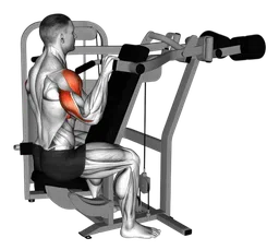 Shoulder press inverso da seduto alla macchina