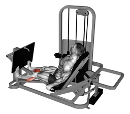 Calf press da seduto alla macchina