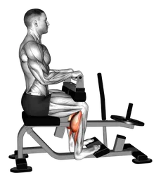 Calf raise da seduto alla macchina (con dischi) (variante 2)