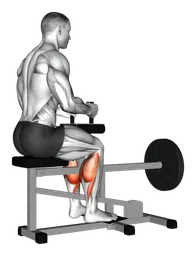 Calf raise da seduto alla macchina (con dischi)