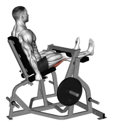 Leg curl da seduto alla macchina (con dischi)