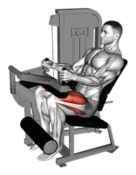 Leg extension da seduto alla macchina (variante 2)