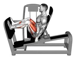 Leg press da seduto alla macchina (variante 2)