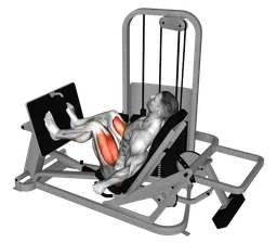 Leg press da seduto alla macchina