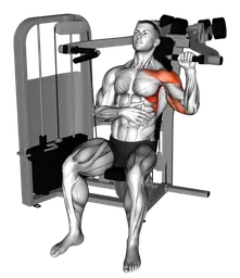 Shoulder press a un braccio da seduto alla macchina