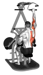 Lat pulldown singolo a presa larga da seduto alla macchina