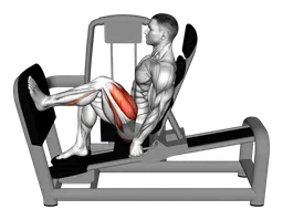 Leg press a una gamba da seduto alla macchina (variante 2)