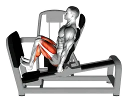 Calf raise squat da seduto alla leg press machine
