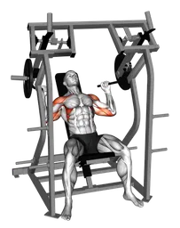 Shoulder press alla macchina (con dischi) (variante 2)