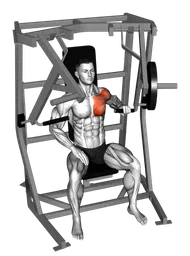 Chest press a un braccio alla macchina