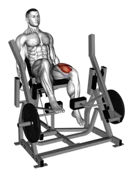 Leg extension a una gamba alla macchina (Macchina a leva)