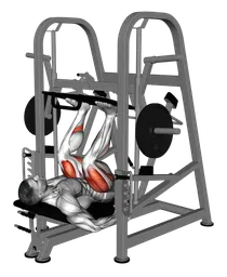 Leg press verticale alla macchina
