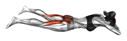 Curl glutei da sdraiato
