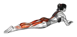 Slanci di gambe singoli da sdraiato