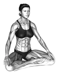 Meditazione consapevole con il respiro