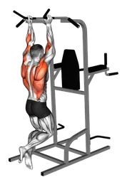 Chin-up presa neutra