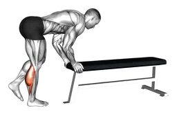 Calf raise donkey a una gamba
