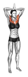 Chest fly con mani alla testa