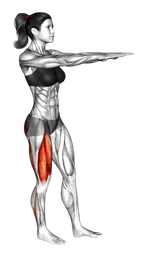 Pistol squat al box