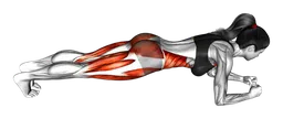 Plank con tocco piedi