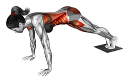 Plank pike slide con asciugamano