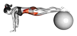 Pull in (su stability ball)
