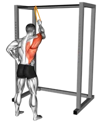 Pulldown incrociato a braccio singolo supinato con elastico