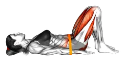Glute bridge con elastico (variante 2)