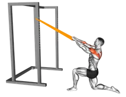 Face pull in ginocchio con elastico