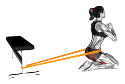 Hip thrust in ginocchio con elastico