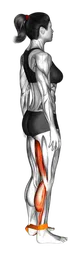 Leg curl con elastico
