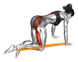 Slanci posteriori per gambe con elastico