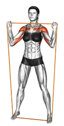 Shoulder press overhead con elastico