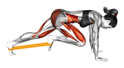 Plank march con elastico