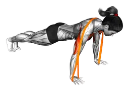 Push-up con elastico