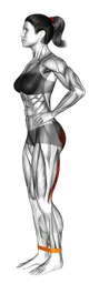 Slanci posteriori per glutei in equilibrio con elastico in piedi
